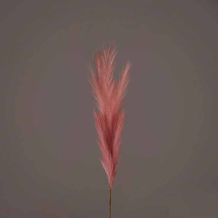 Pampa Ramo H100  (q) Ant.pink