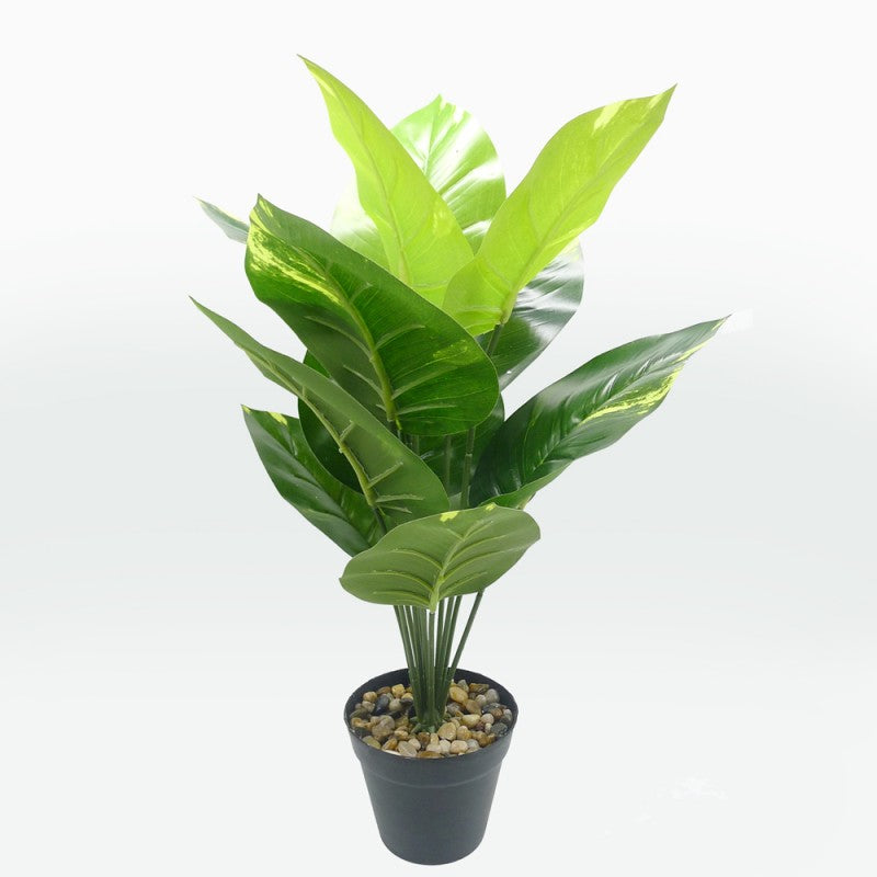 Pianta artificiale Sterlizia