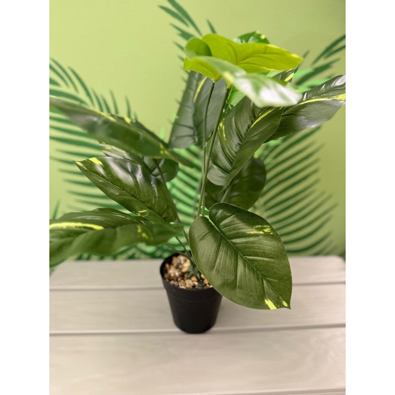 Pianta artificiale Sterlizia