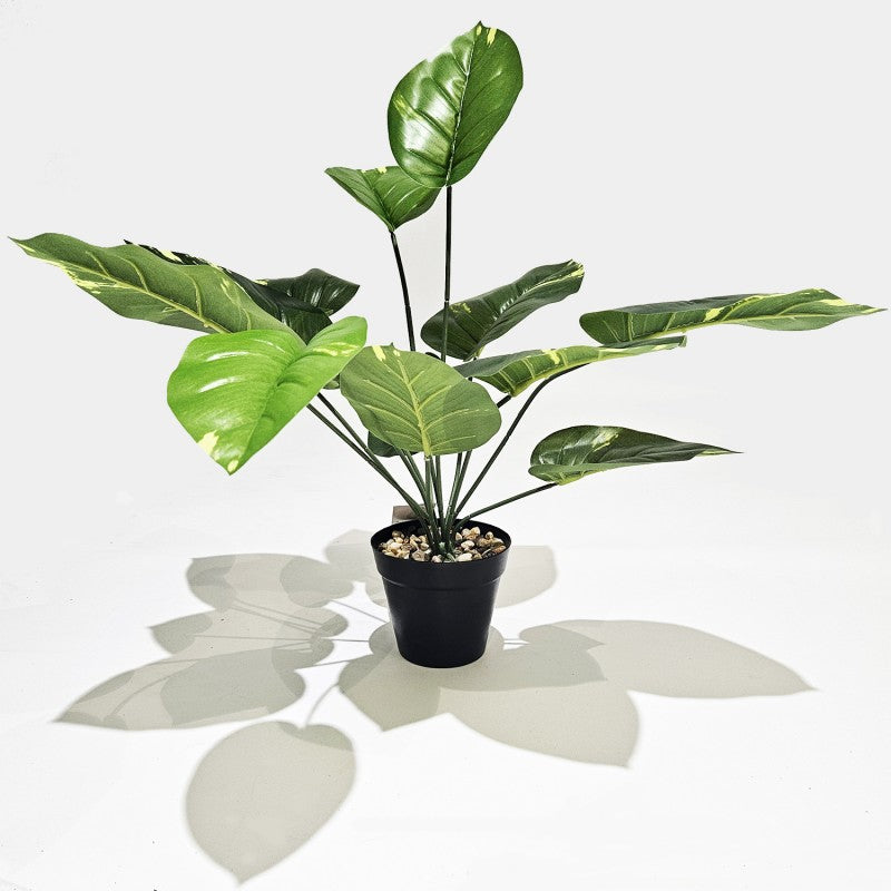 Pianta artificiale Sterlizia