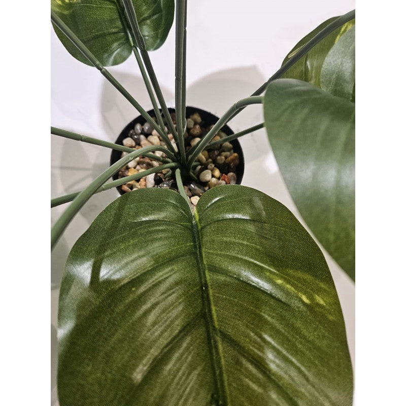 Pianta artificiale Sterlizia