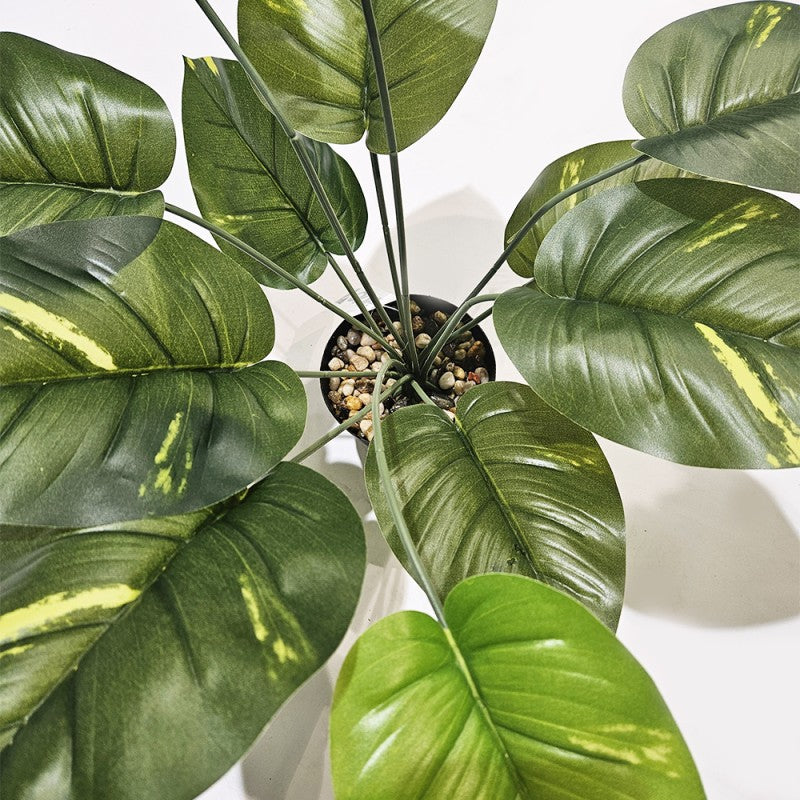 Pianta artificiale Sterlizia