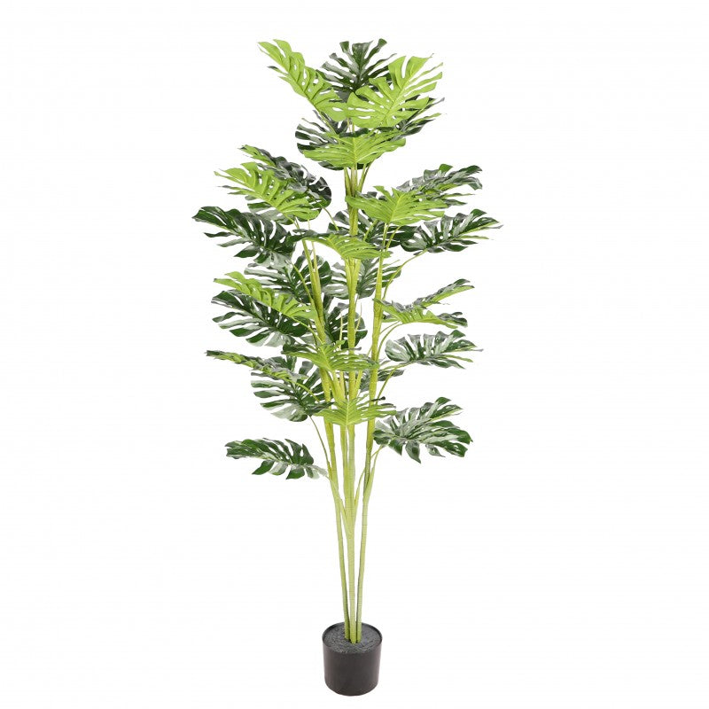 Pianta artificiale Monstera