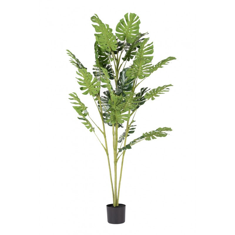 Pianta artificiale Monstera