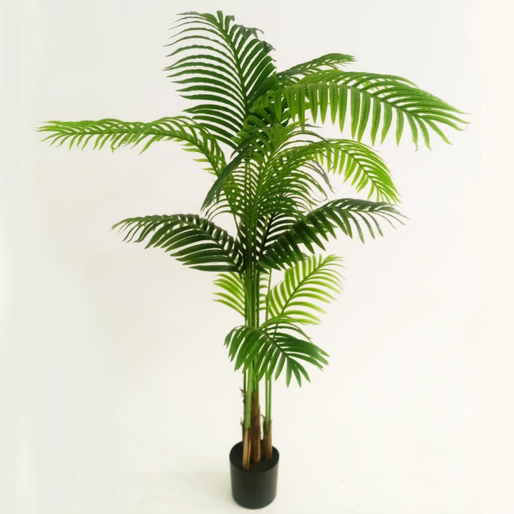 Pianta artificiale Palma 150cm
