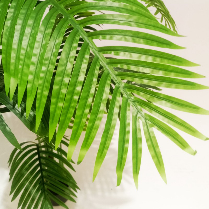 Pianta artificiale Palma 150cm