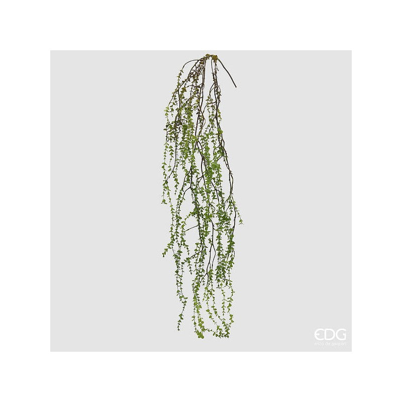 Pianta artificiale Pilea  Cadente altezza 145 cm|EDG