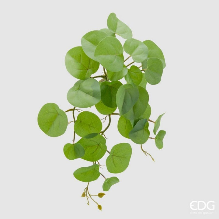 Pianta artificiale Pilea Peperomioides Chic altezza 50 cm|EDG