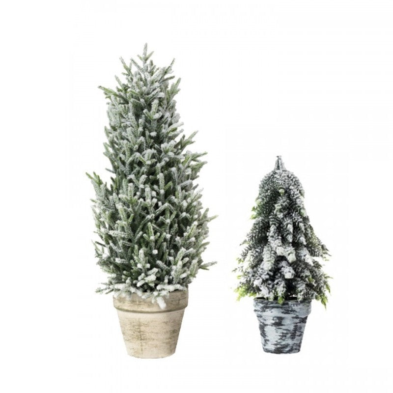 Pinetto con vaso Topiary | Xone
