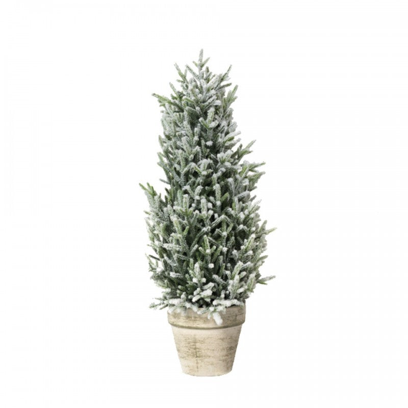 Pinetto con vaso Topiary | Xone