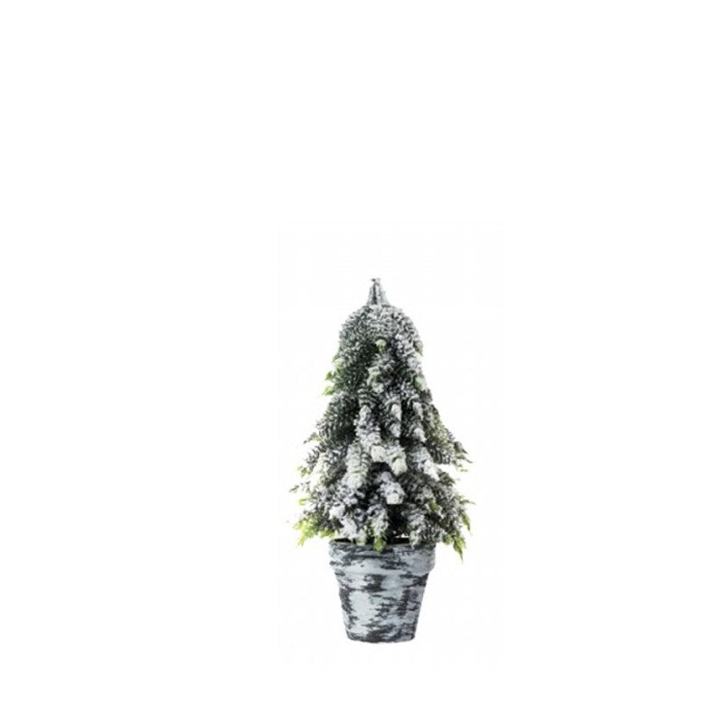 Pinetto con vaso Topiary | Xone