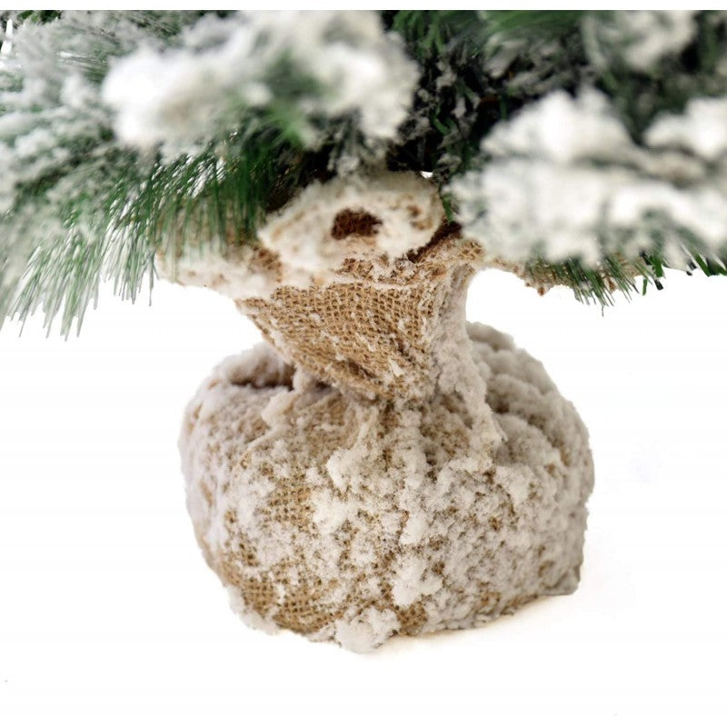 Pinetto del Nord | Xone