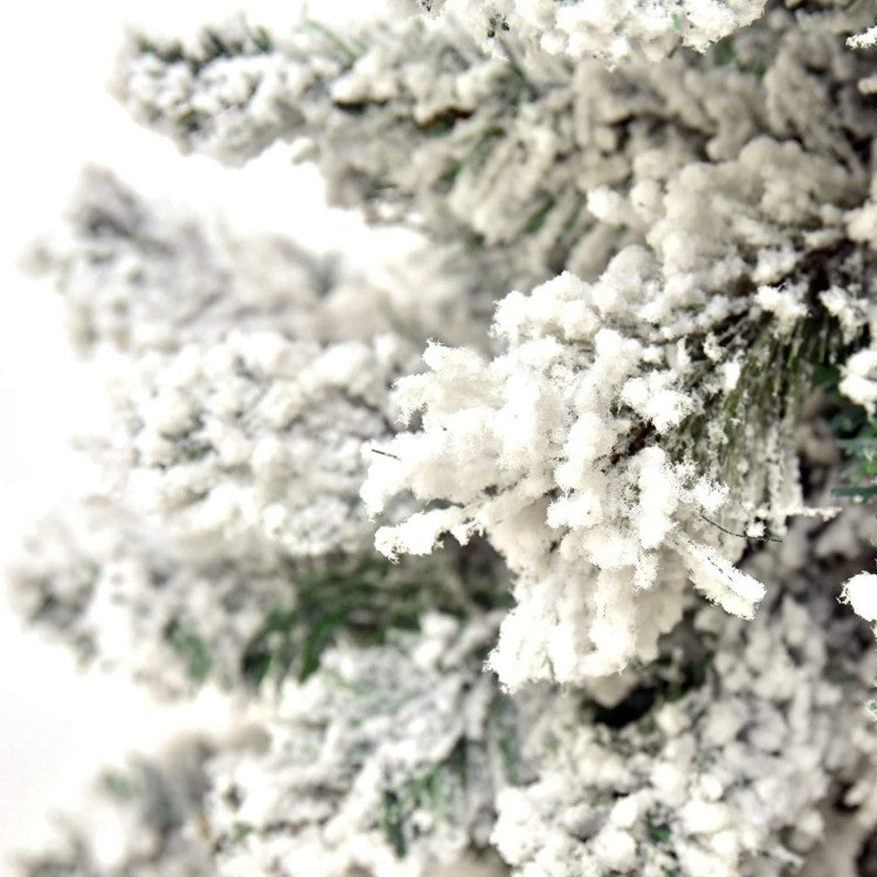 Pinetto del Nord | Xone