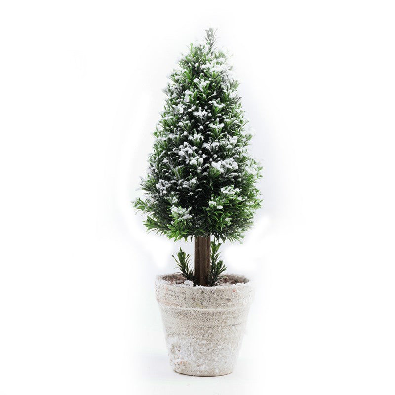 Pinetto Fiocco di Neve | Xone