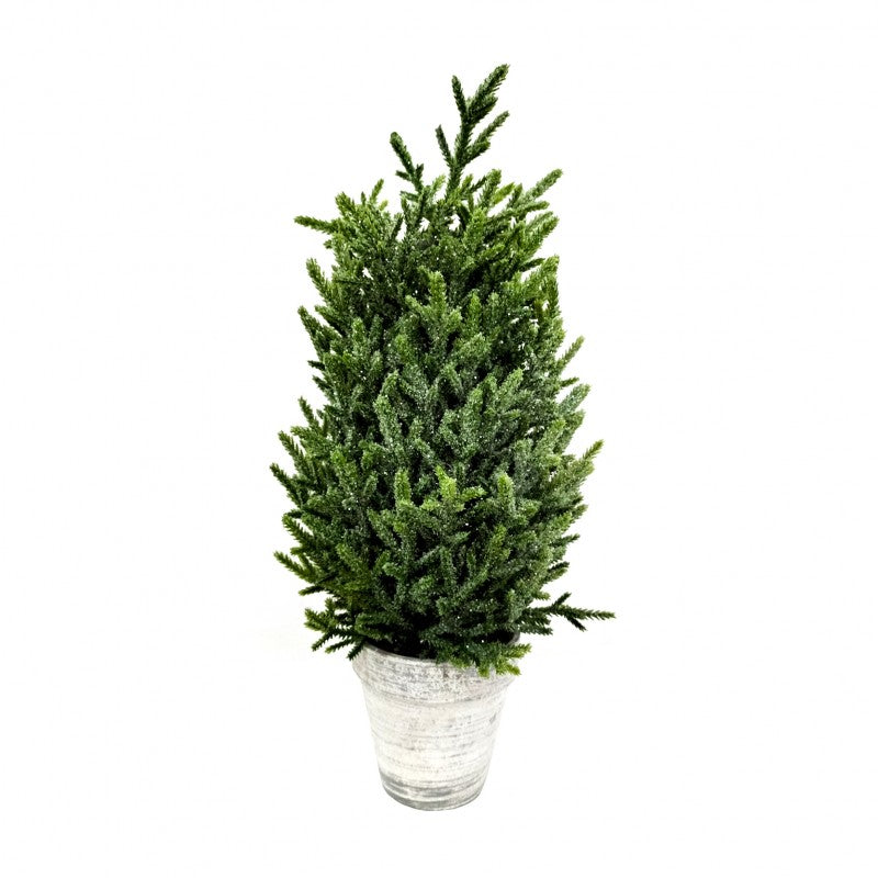 Pinetto Green Shine | Xone