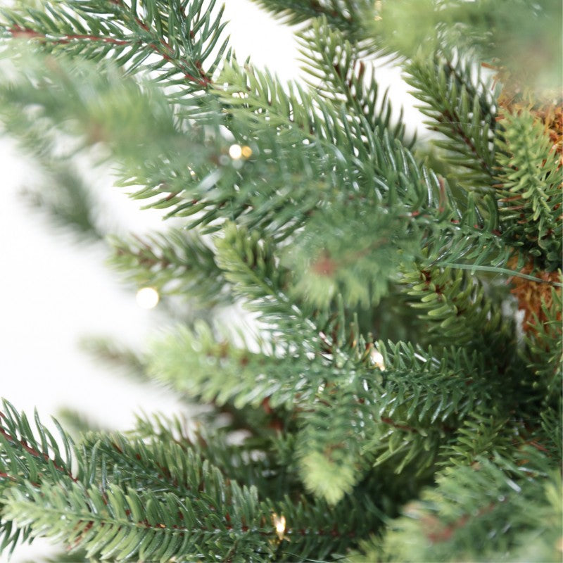 Pinetto con led Little Tom | Xone