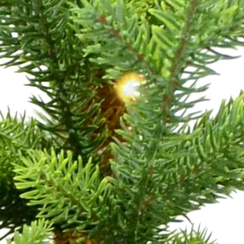 Pinetto con led Little Tom | Xone