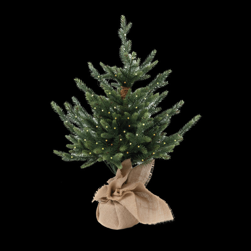 Pinetto con led Little Tom | Xone