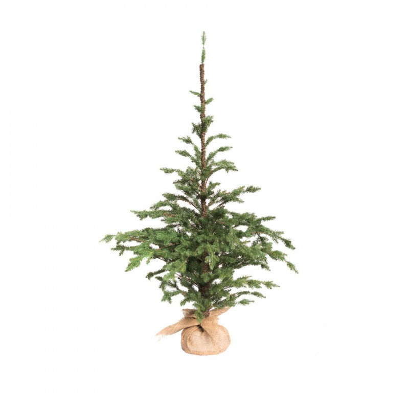 Pinetto Vivaio | Xone