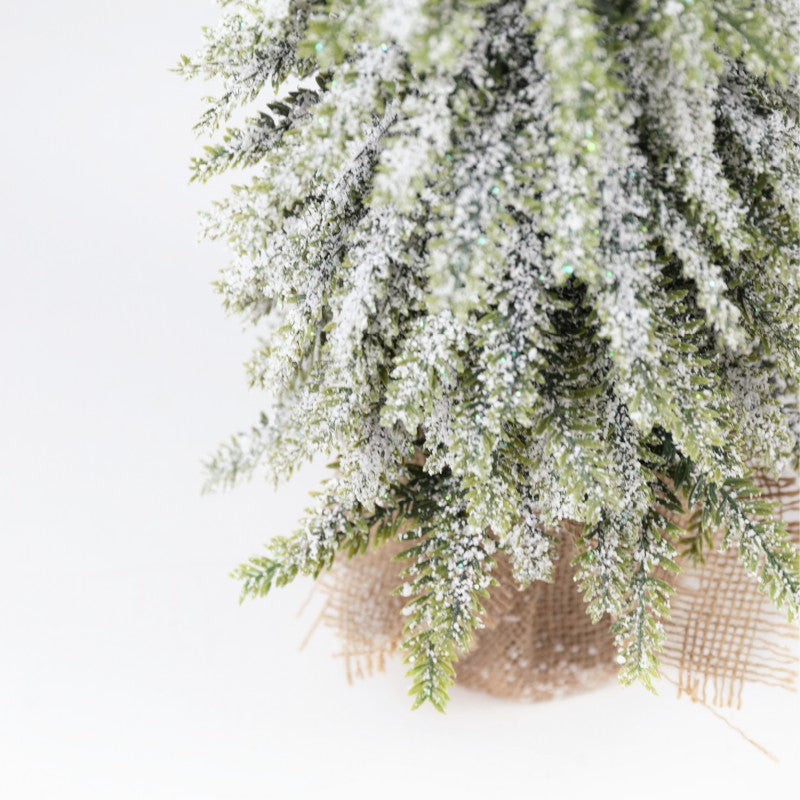 Pinetto Snow Tip | Xone