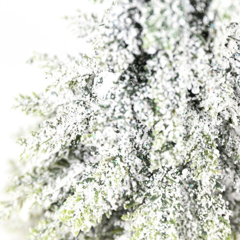 Pinetto Snow Tip | Xone