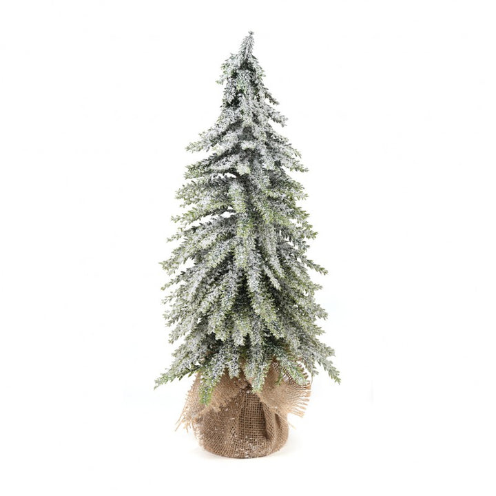 Pinetto Snow Tip | Xone