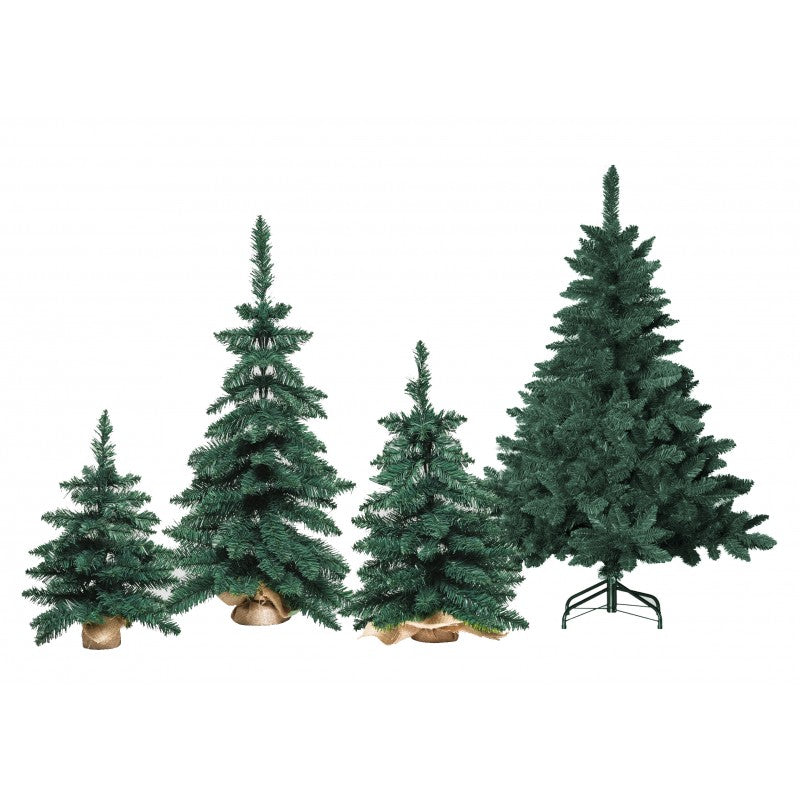 Pinetto Timmy | Xone