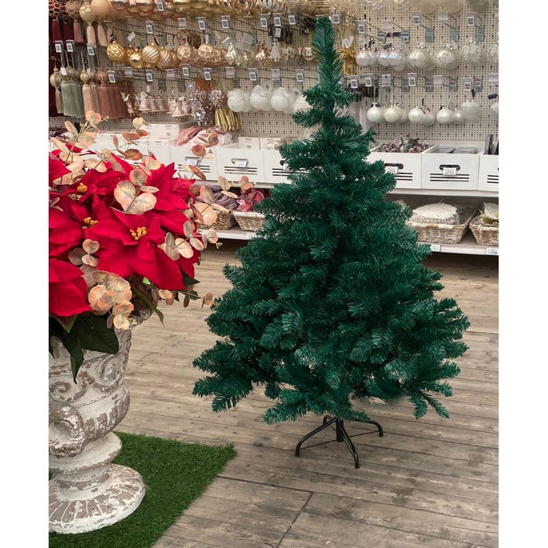 Pinetto Timmy | Xone