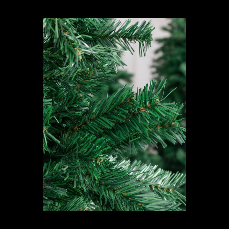 Pinetto Timmy | Xone