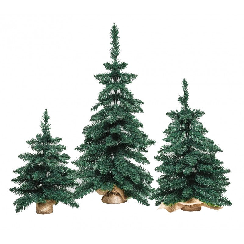 Pinetto Timmy | Xone