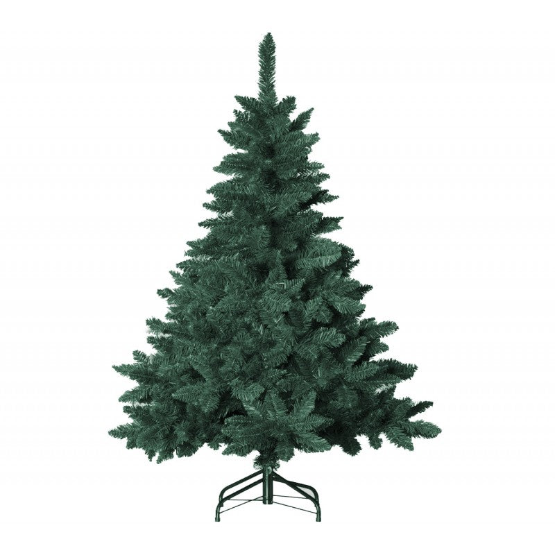 Pinetto Timmy | Xone