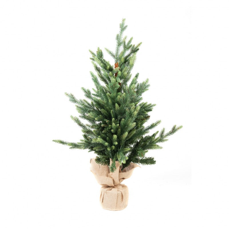 Pinetto Victor | Xone