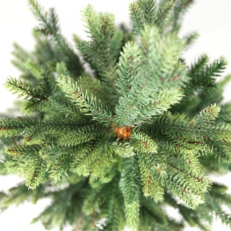 Pinetto Victor | Xone