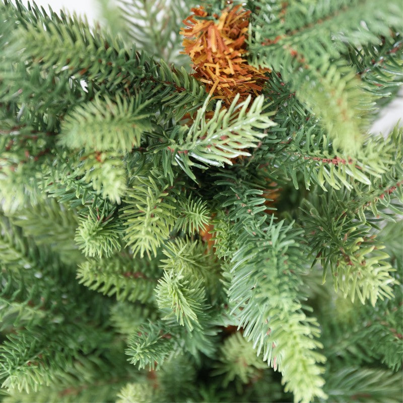 Pinetto Victor | Xone