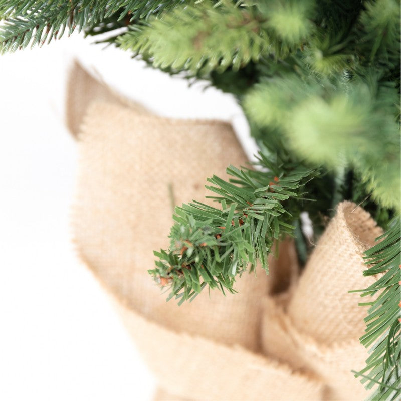 Pinetto Victor | Xone