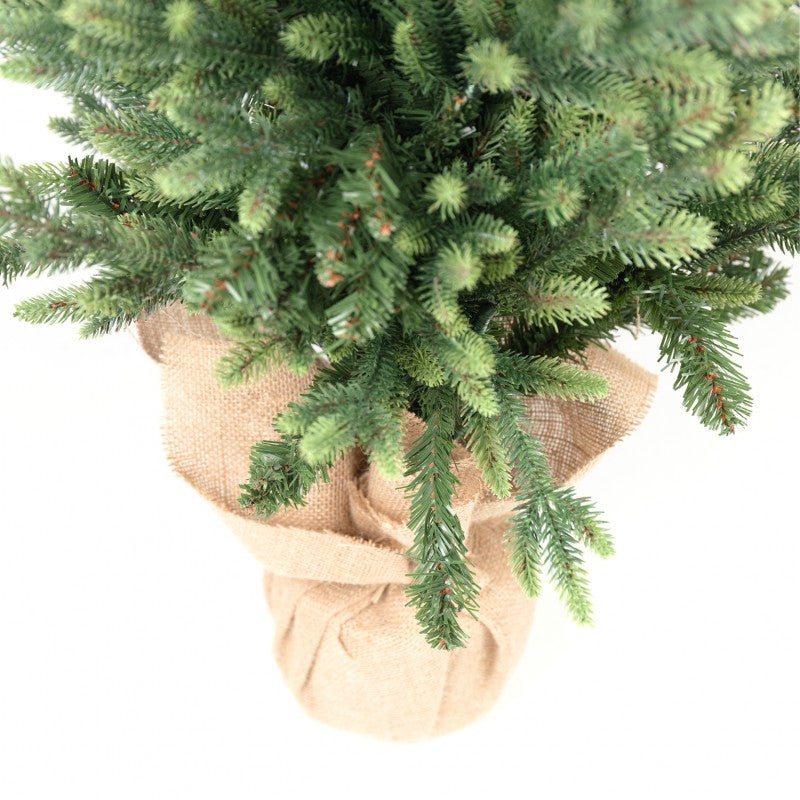 Pinetto Victor | Xone