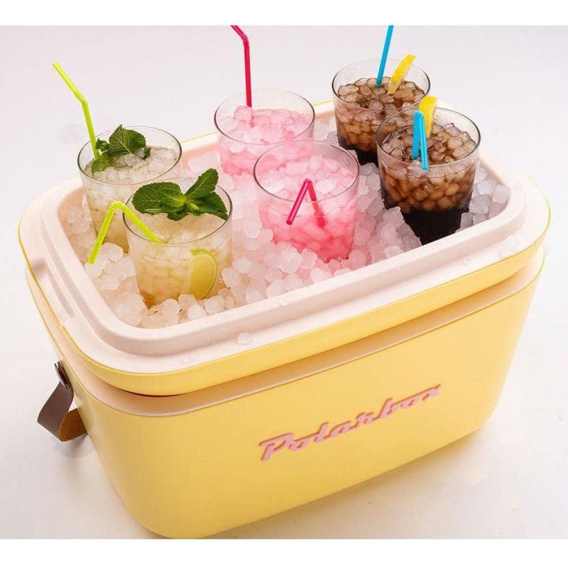 Borsa Termica 12 lt vintage Polarbox - Perrone Shop