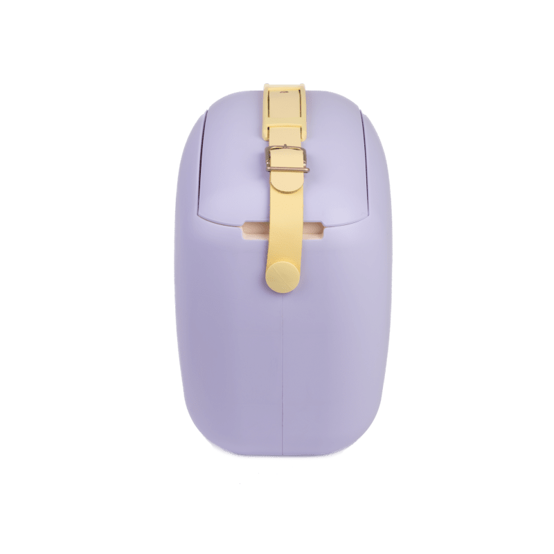 Polarbox Borsa Termica 6 Litri Vintage - Perrone Shop