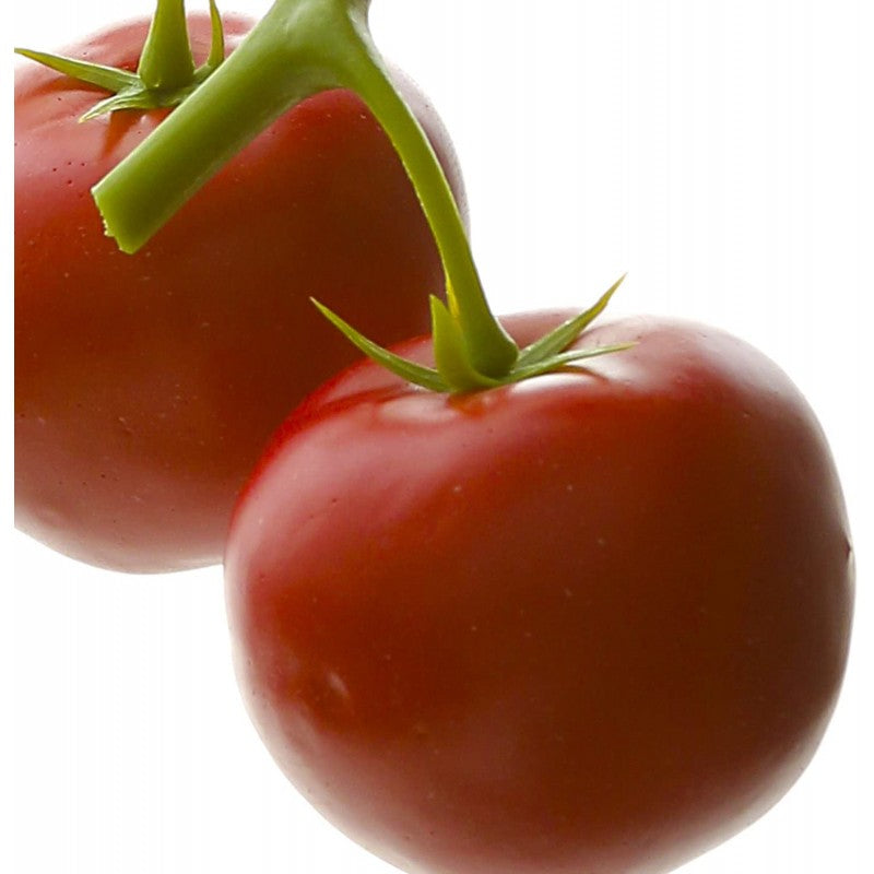 Pomodori artificiali decorativi 2 pz. EDG