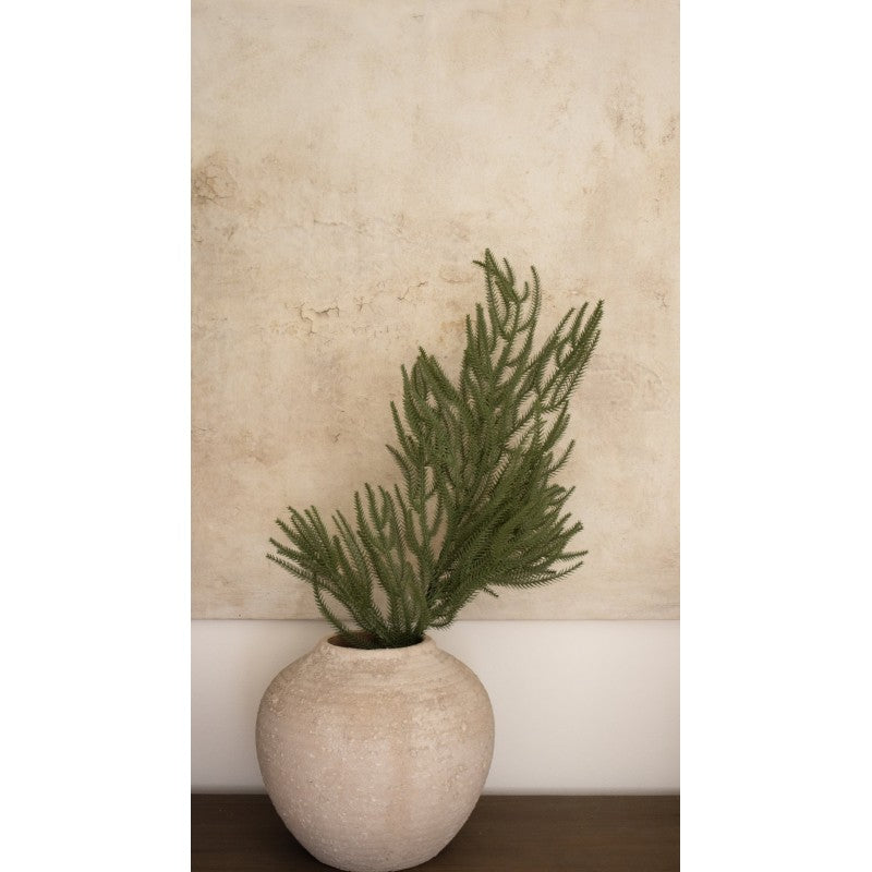 Ramo di Pino Liam By Salvatore Izzo