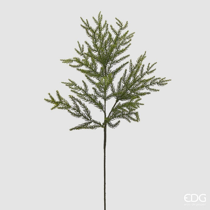 Ramo Verde H84 cm Cryptomeria |EDG