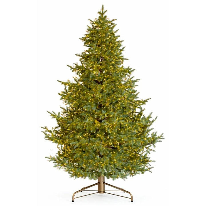 Albero di Natale Rockefeller Led by Salvatore Izzo - Perrone Shop