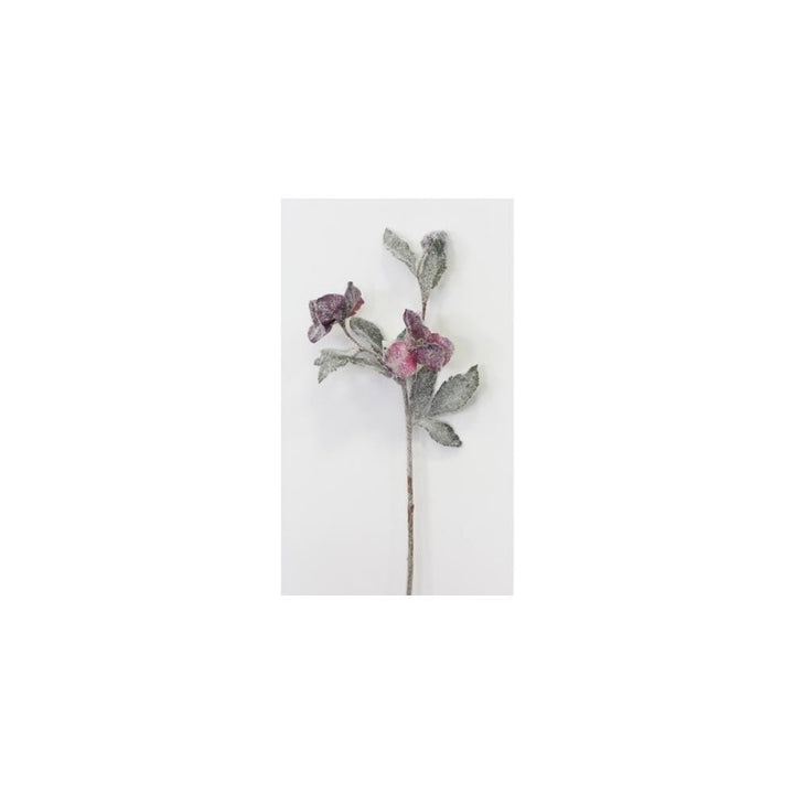 Rosa porpora glitterata