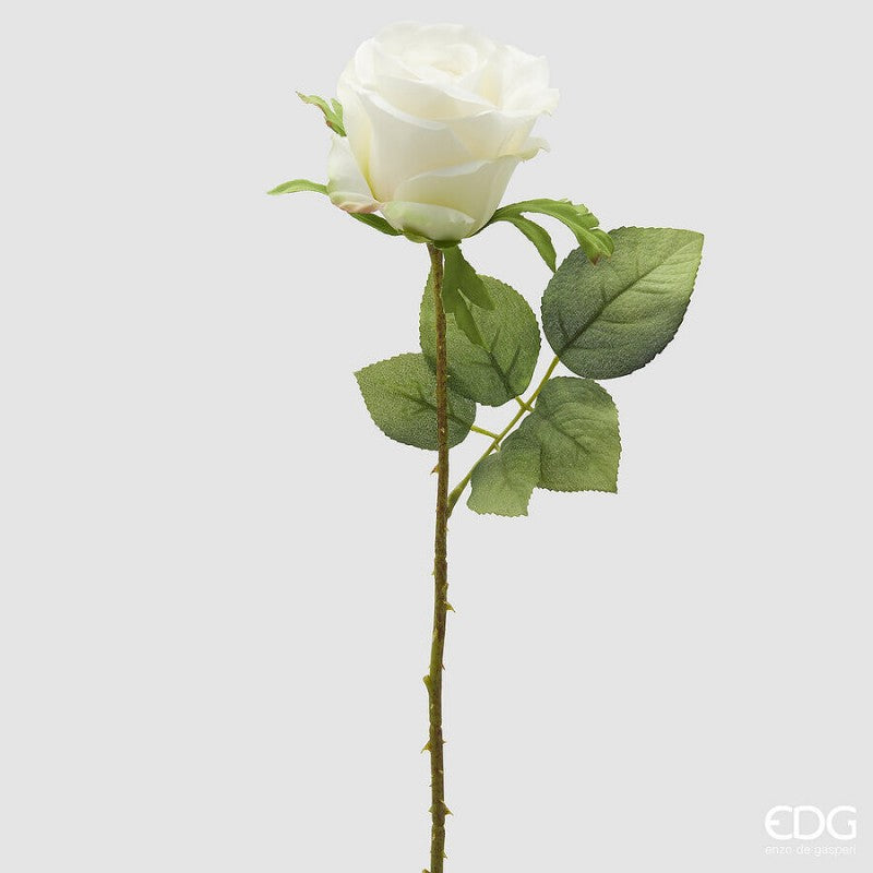 Rosa Ramo con foglie altezza 52 cm Bianco | EDG