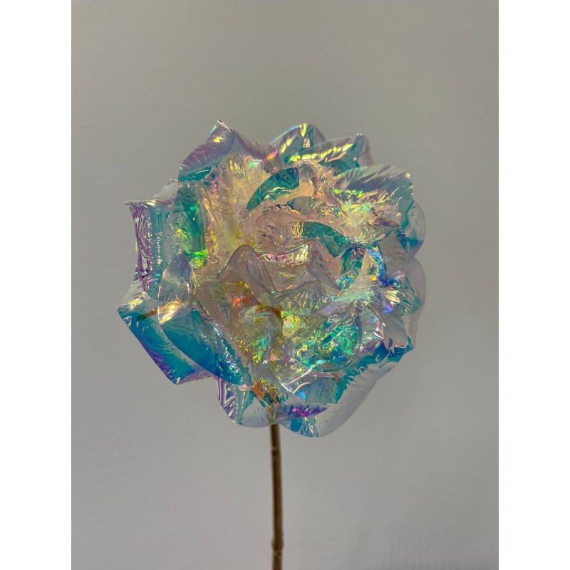 Rosa Rex Reflex artificiale 55h cm EDG