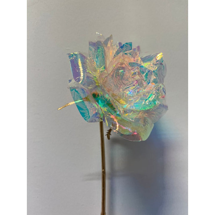 Rosa Rex Reflex artificiale 55h cm EDG