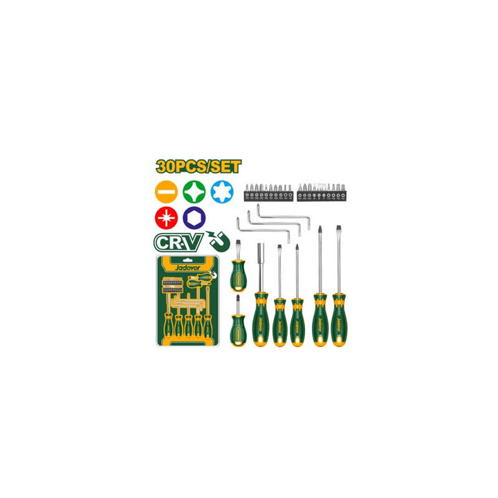 Set 30 Cacciaviti con magnete