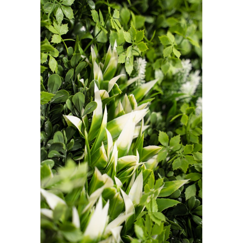 Siepe artificiale 100x100 cm  Ecuador | Xone