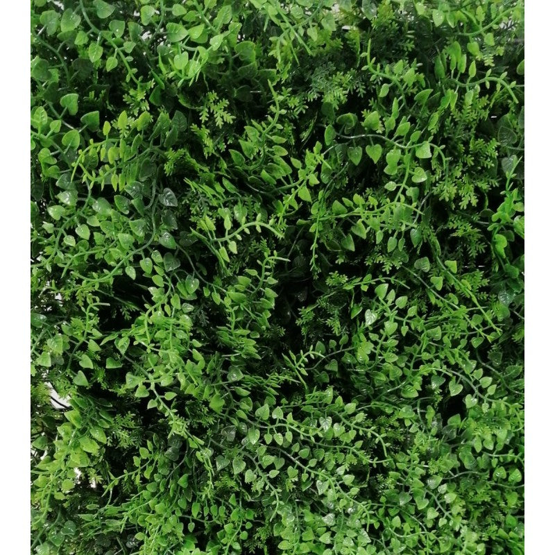 Siepe artificiale 50x50 cm Felce | Xone