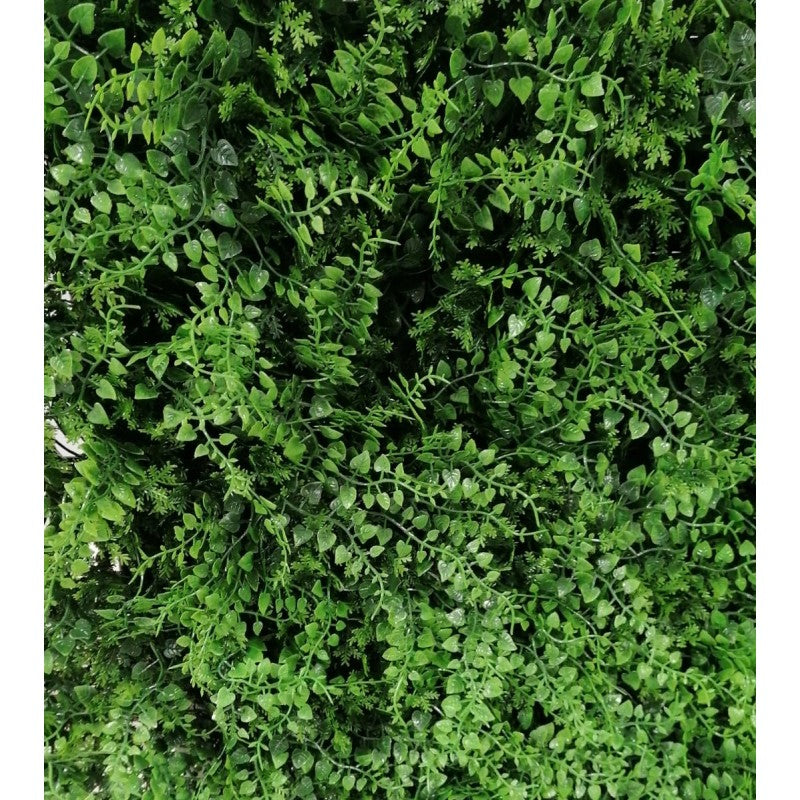 Siepe artificiale 50x50 cm Felce | Xone